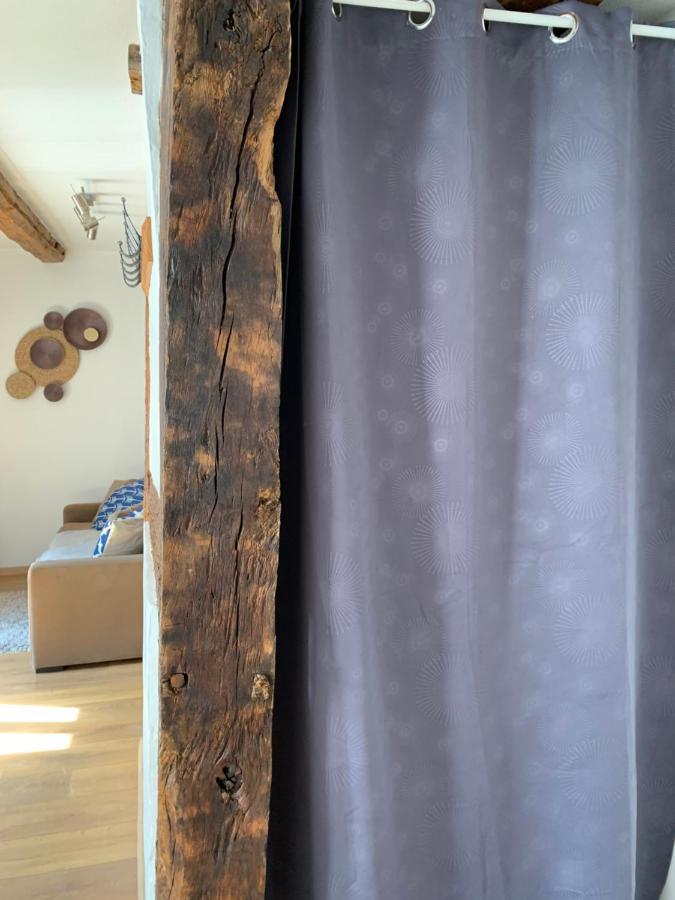 Gite - Chez Josephine Dambach エクステリア 写真