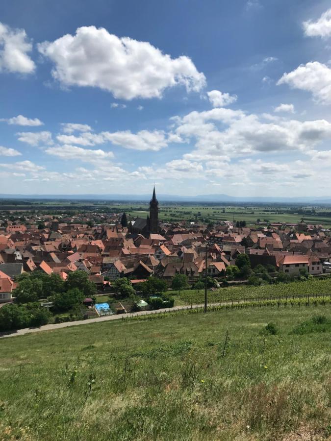 Gite Les Cles Des Vignes Dambach エクステリア 写真