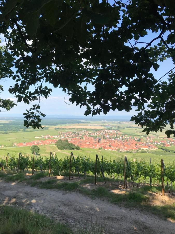 Gite Les Cles Des Vignes Dambach エクステリア 写真